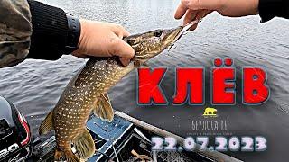 БЕШАННЫЙ КЛЁВ!!! ПОДПИШИСЬ !! РЫБАЛКА НА СПИННИНГ В ИЮЛЕ !!!