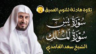 قران كريم بصوت جميل جدا قبل النوم سعد الغامدي  راحة نفسية لا توصف  Quran Recitation