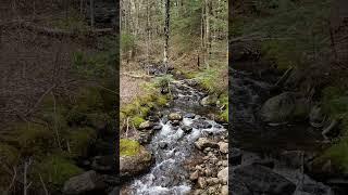 You could own a Dream Property with picturesque stream! Adirondacks, NY