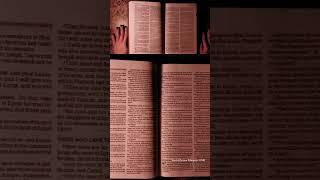 Genesis 46:28-32 (NASB) #biblereadingasmr #dailybibleverses