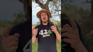 Grow on the Go - The Beginning - Fast Buds Germination #shorts
