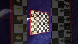 cute  chess ️️ ll trendingshorts ll viral short ll trendingshorts