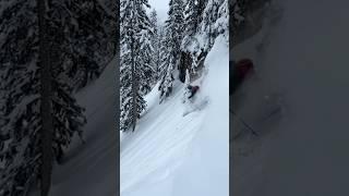 Pillow powder skiing for breakfast #backcountryskiing