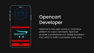 Opencart Developer