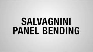 Salvagnini Panel Bending |  Estes Design and Manufacturing