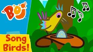 Boj - Sing Song Birds!  | Full Episodes | Cartoons for Kids