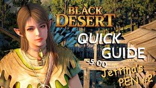 Black Desert Quick Guide - Jettina's Boss Armor PEN V Guaranteed [UPDATED]