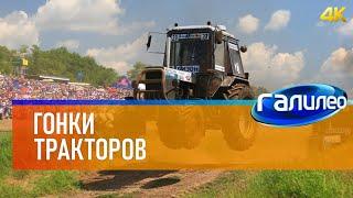 Галилео  Гонки тракторов [Tractor race] 4K