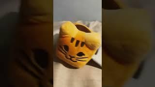 Tabby bee swallows shampoo (pt.2)