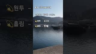 구독하고 정보공유받기️    [  통영 낚시포인트  ] #낚시 #낚시포인트 #통영낚시 #통영원투낚시 #통영낚시포인트