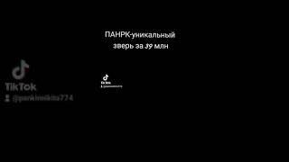 Пожарный автомобиль насосно-рукавный комбинированный.