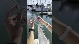 Tying a Bowline! #boat #boatinglife #sailing #sailboat