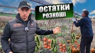 Наводим порядок на ГОРОДІ! Мульчеєм, пиляєм! Заорюєм кукурузиння щоб не палити