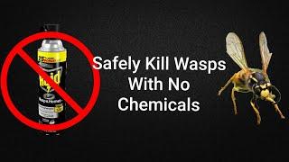 Better than Raid | How to Exterminate Wasps, Hornets, Yellow Jackets, etc. With ZERO Harsh Chemicals