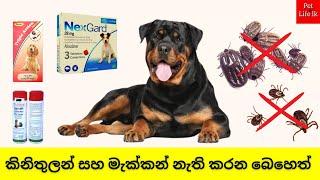 චෝකලට් පෙත්ත | Medicine for Dog Ticks, Fleas, and Lice Sinhala | NexGard Chews tablet for Dogs