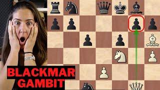 Checkmate your opponent with the Blackmar-Diemer Gambit