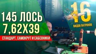 145 Лось 7,62х39. Отстрел 16 видов патронов (стандарт, самокрут и дозвук)