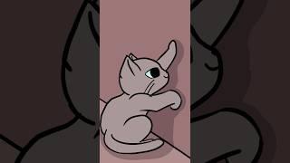 Cat scratches #animation #cat #drawing