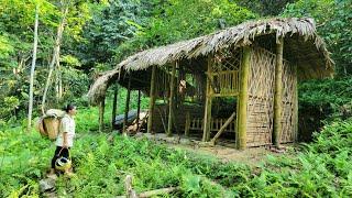 She Turned This Dilapidated House Into Her Dream House | Daily Life, Bich Dep