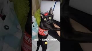 КОТ - КОКА КОЛА прикол  #кошкивидеоприколыдослёз #кошки #приколы