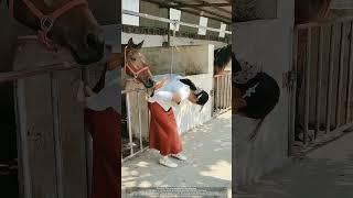 Never Feed Horses Like This ! Carrot Waistband Trick