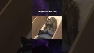 Japan’s Mermaid Mummies: Ancient Hoax or Forgotten Truth?