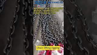 JIN YANG HU Chain Lifting Rigging Chain Sling with Durable Hooks #rigging