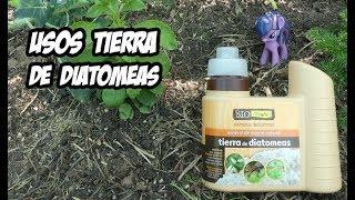 5 Usos de la Tierra de Diatomeas | La Huerta de Ivan