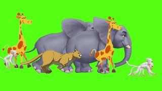 The Animal Parade on green screen | Animals stampede green screen | Let’s protect wildlife together!