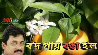 Rod Pai Ronga Hol (ৰ'দ পায় ৰঙা হ'ল) - by Dilip Das