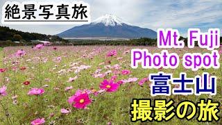 [Photo travel] recommended Mt Fuji Photo spot with flower, Lake Yamanakako