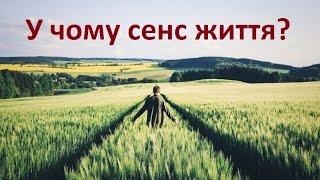 В чем заключается смысл жизни человека [Виктор Шовкошитный]