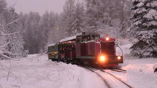 Тепловоз ТУ7-1095 на ст. Лавассааре / TU7-1095 at Lavassaare station