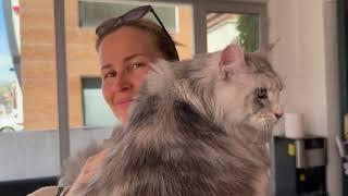 A Trip to the Vet with Anfisa | Vaccination, Karma & a Surprise Visitor on the Windshield