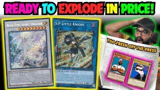  EXTREMELY CHEAP CARDS READY TO EXPLODE IN PRICE!  | Yu-Gi-Oh! Market Watch!