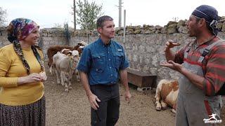 Turkey, Cappadocia: Deaf Cattle Farmer