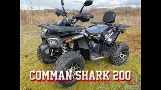 Самый продаваемый квадроцикл Comman Shark - Так ли он хорош