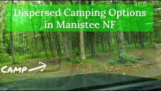 How to Dispersed Camp in Manistee National Forest