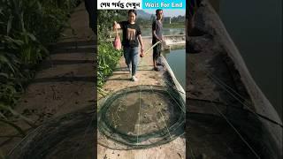 গরুর ফুসফুস দিয়ে মাছ ধরলাম !  Hand Fishing | Village-Fishing | Old Man-Fishing | #fishing #shorts