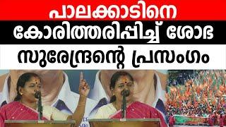 പാലക്കാട് കാവി തരങ്കത്തിൽ തകർന്നടിഞ് ഇടത് വലത് മുന്നണികൾ