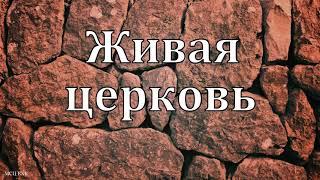 "Живая церковь".  Г. В. Костюченко. МСЦ ЕХБ