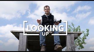 Looking Up – Photography Lesson Preview