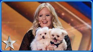 DANCING DOG Trip Hazard returns to Britain's Got Talent stage | Auditions | BGT 2024