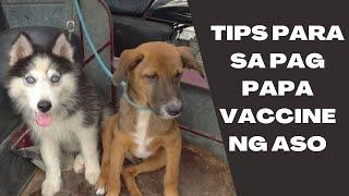 Vlog 97: VACCINE TIME NI TYLER AT SID | Husky | Aspin