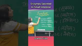 Enzymes Secreted In Small Intestine #science #smallintestine #biology #biologytricks #tricks #shorts