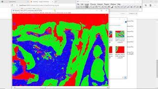 Deep learning-based segmentation for biologists - Processing tissue segmentation - U-Net