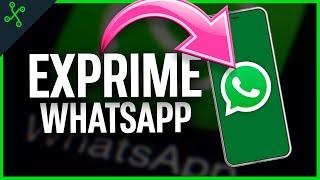 WHATSAPP: GUIA y TRUCOS para usar al 100%