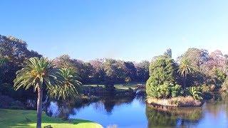 Royal Botanic Gardens by Drone - Melbourne, Australia