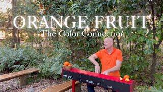 Orange Fruit  | Jeremy Weinglass (original)