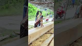 measuring in a traditional way. The process of making a large boat.pacu jalur2025 #kuansing